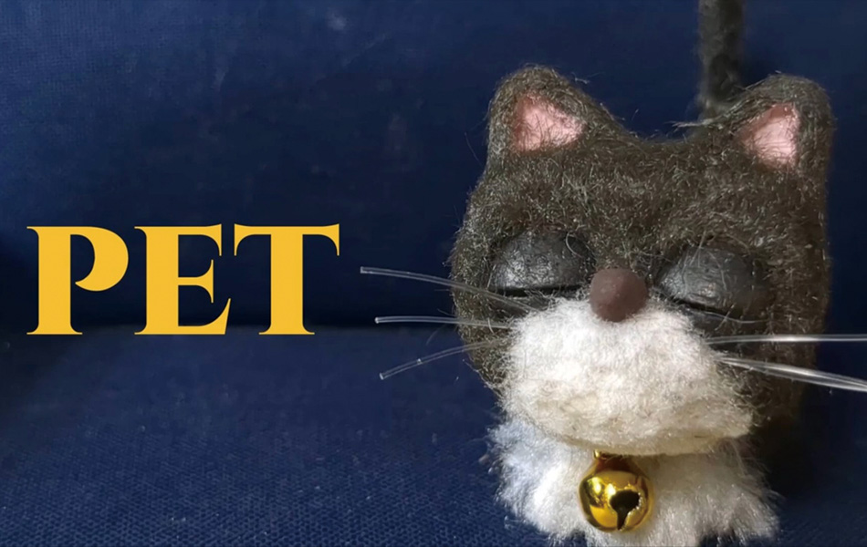 PET